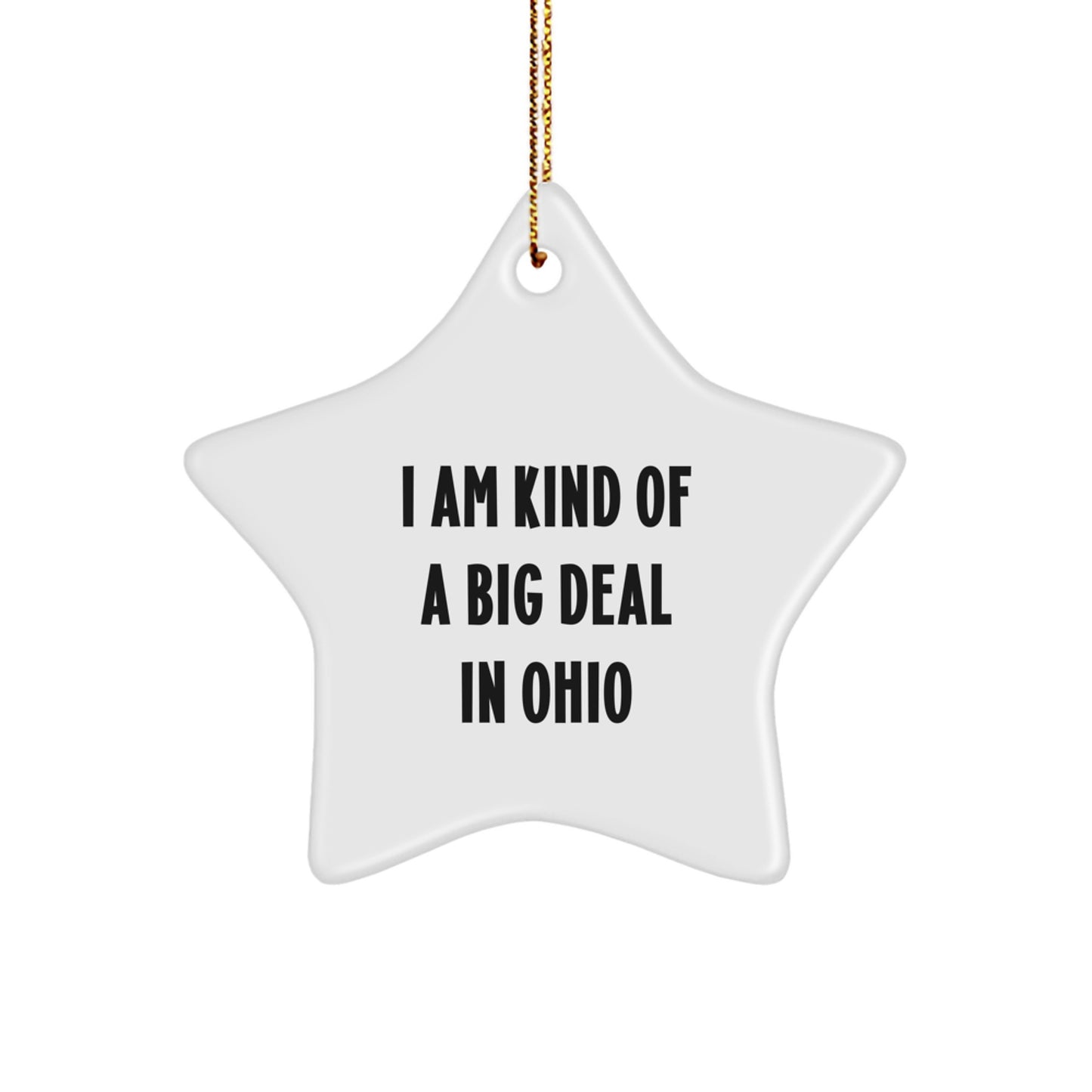 Funny Star Ornament Gifts from Ohio, I Am Kind Of A Prime Selection In Ohio Funny Star Ornament for Ohio Christmas Unique Gifts from Men to Family - Image 1