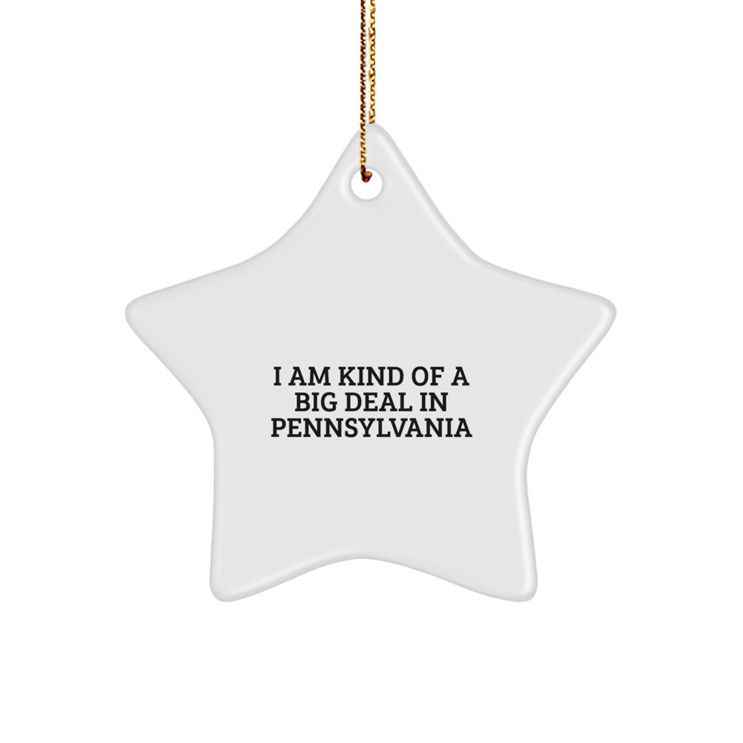 Funny Star Ornament Gifts from Pennsylvania for Christmas - Kind of a Prime Selection - Image 1