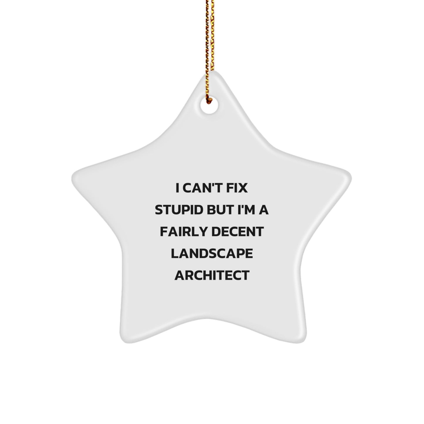 Funny Star Ornament for Landscape Architect Gifts from Friends and Family, 'I Can't Fix Stupid But I'm A Fairly Decent Landscape Architect' Christmas Unique Decorations - Image 1