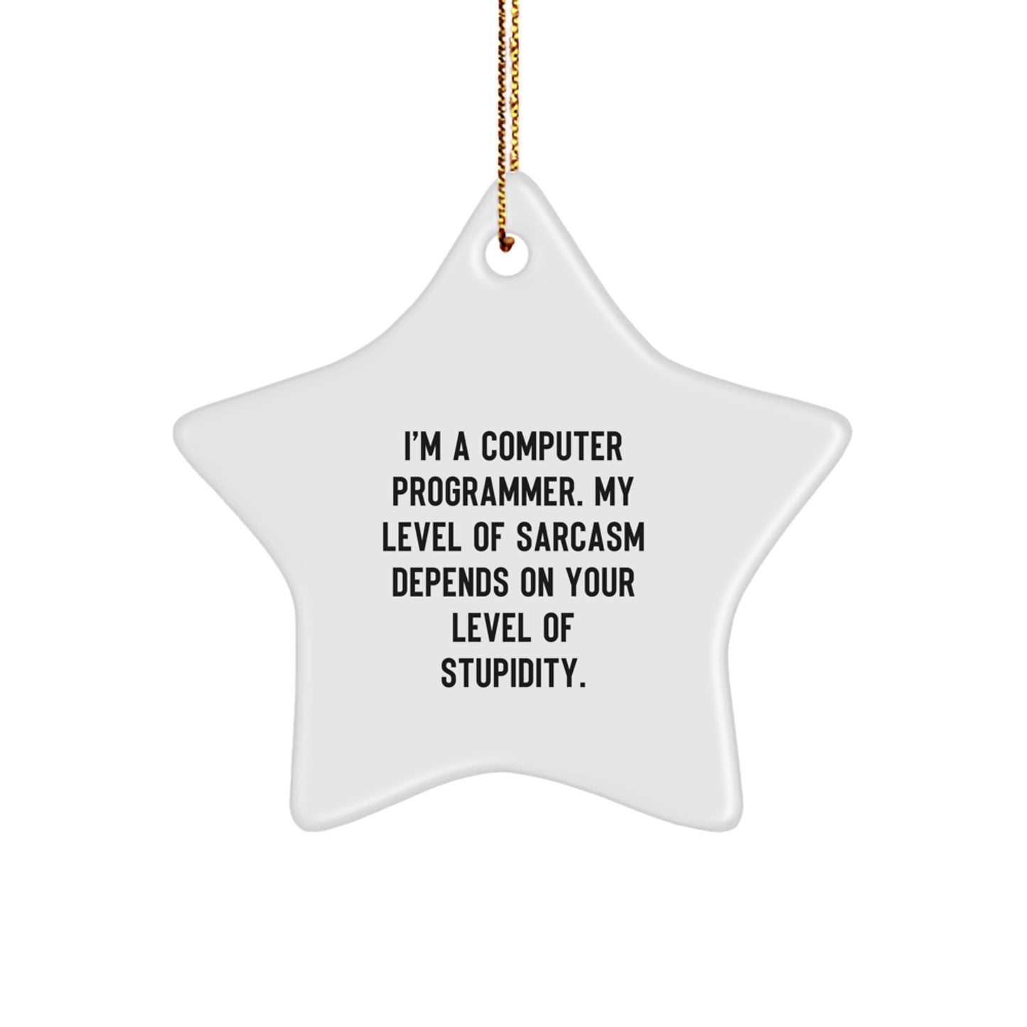 Funny Computer Programmer Gifts for Men, Star Ornament, Sarcasm Humor, Gifts from Coworkers to Computer Programmer Friends at Christmas - Image 1