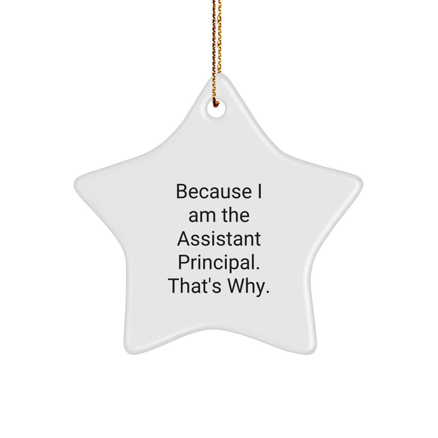 Funny Christmas Unique Gifts for Assistant Principals Men Women Friends Coworkers Family - Star Ornament With Quote 'Because I Am The Assistant Principal. That's Why.' - Image 1