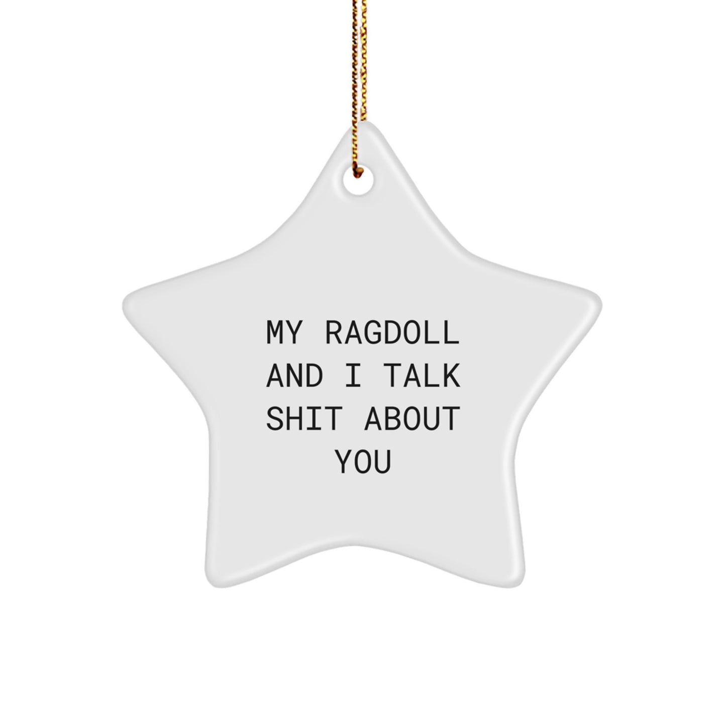 Funny Ragdoll Cat Star Ornament Gifts from Family - My Ragdoll And I Talk Shit About You - Image 1
