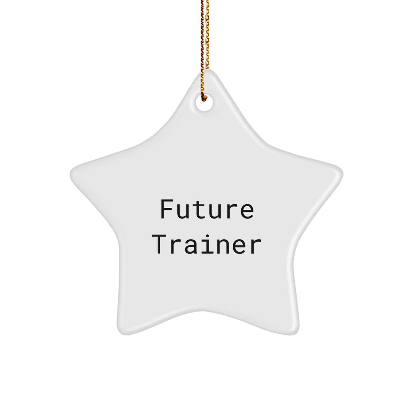 Funny Future Trainer Quotes Star Ornament Gifts for Men from Friends, Trainer Christmas Decorations - Image 1
