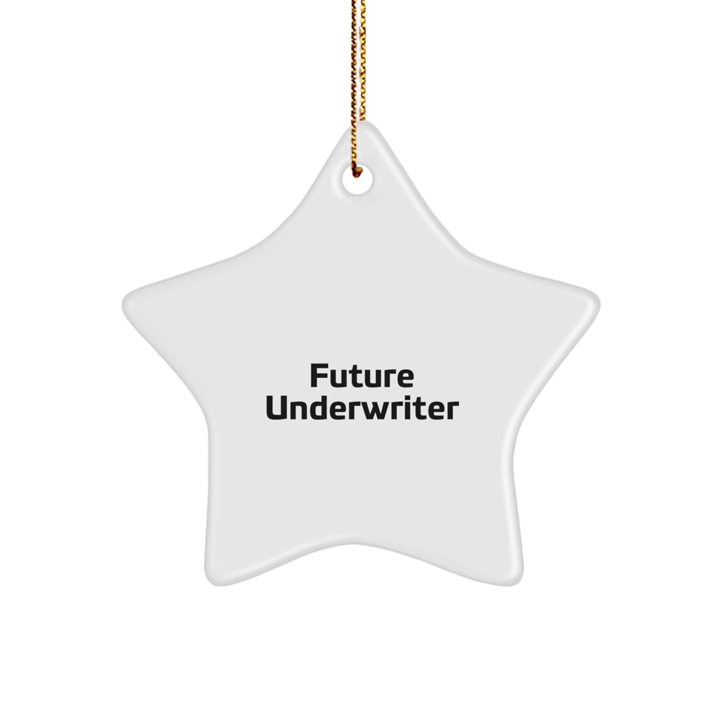 Underwriter Gifts: Funny Future Star Ornament, Gifts from Women, Gifts for Underwriters, Unique Christmas Unique Gifts - Image 1