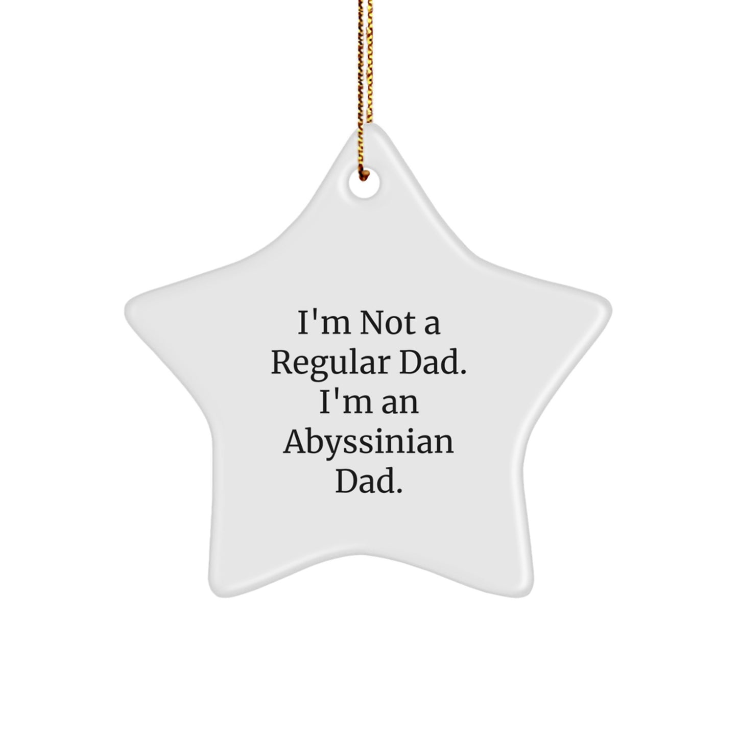 Abyssinian Cat Dad Gifts, Funny Star Ornament, 'I'm Not A Regular Dad. I'm An Abyssinian Dad.', Christmas Unique Gifts from Men to Family - Image 1