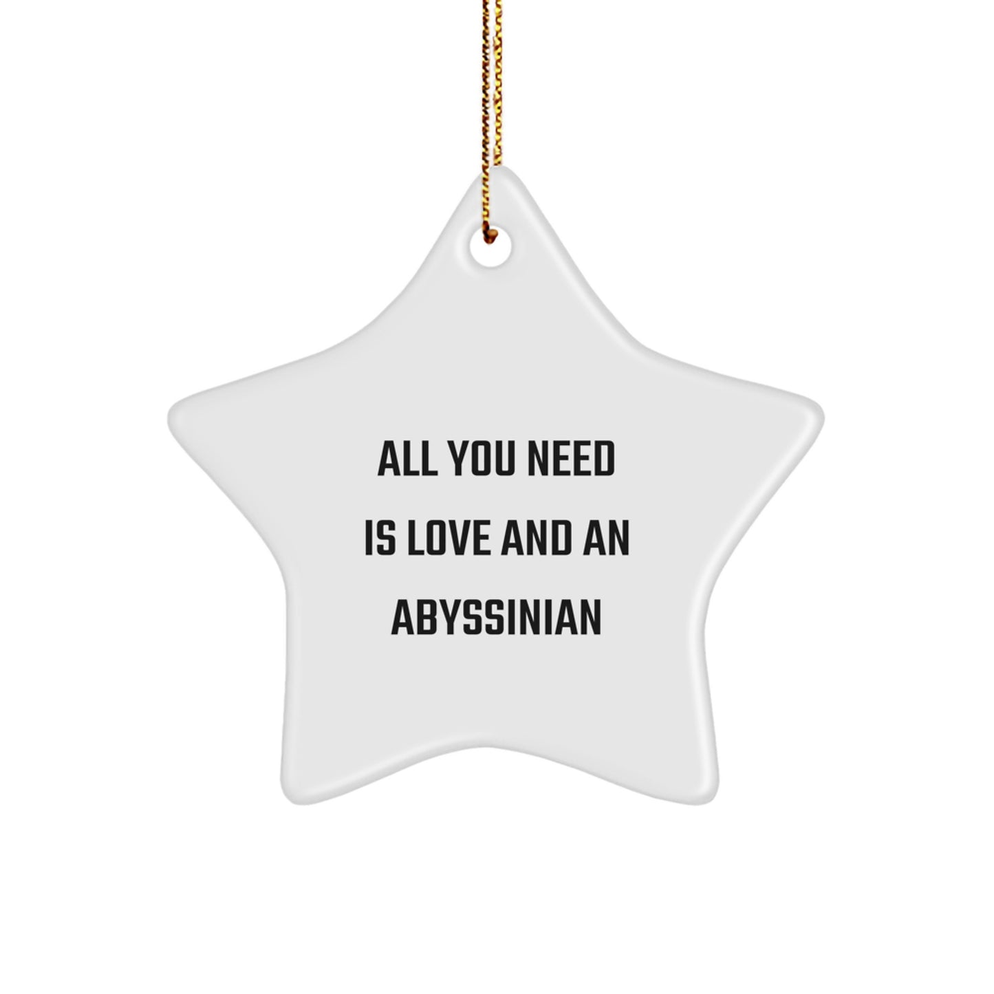 Abyssinian Cat Lovers Gifts from Friends to Family - All You Need Is Love And An Abyssinian Star Ornament for Christmas - Image 1