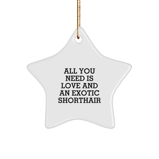 Gifts from Friends for Exotic Shorthair Cat Lovers, Funny Star Ornament with Quote, Exotic Shorthair Cat Christmas Unique Gifts, Unique Star-Shaped MDF Decoration with High-Gloss Finish - Image 1