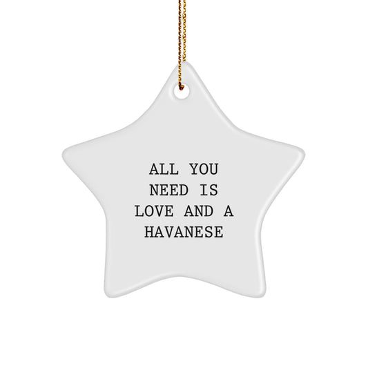Havanese Dog Lovers' Christmas Unique Gift, Star Ornament with 'All You Need Is Love And A Havanese' Quote, Gifts from Friends and Family - Image 1