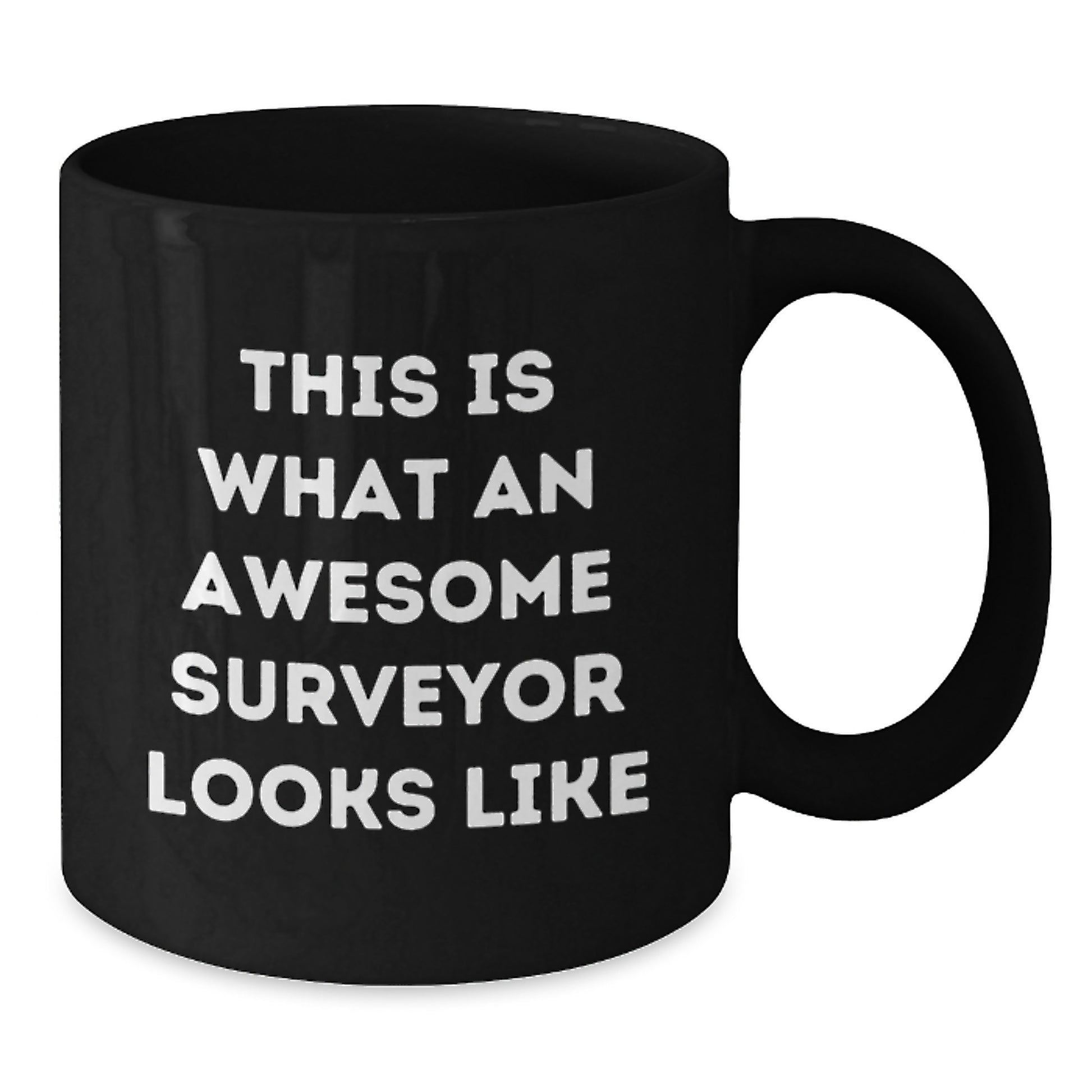 Funny Surveyor Gifts from Men, Black Coffee Mug for Surveyor, Inspirational Quote Birthday Unique Gifts - Additional
