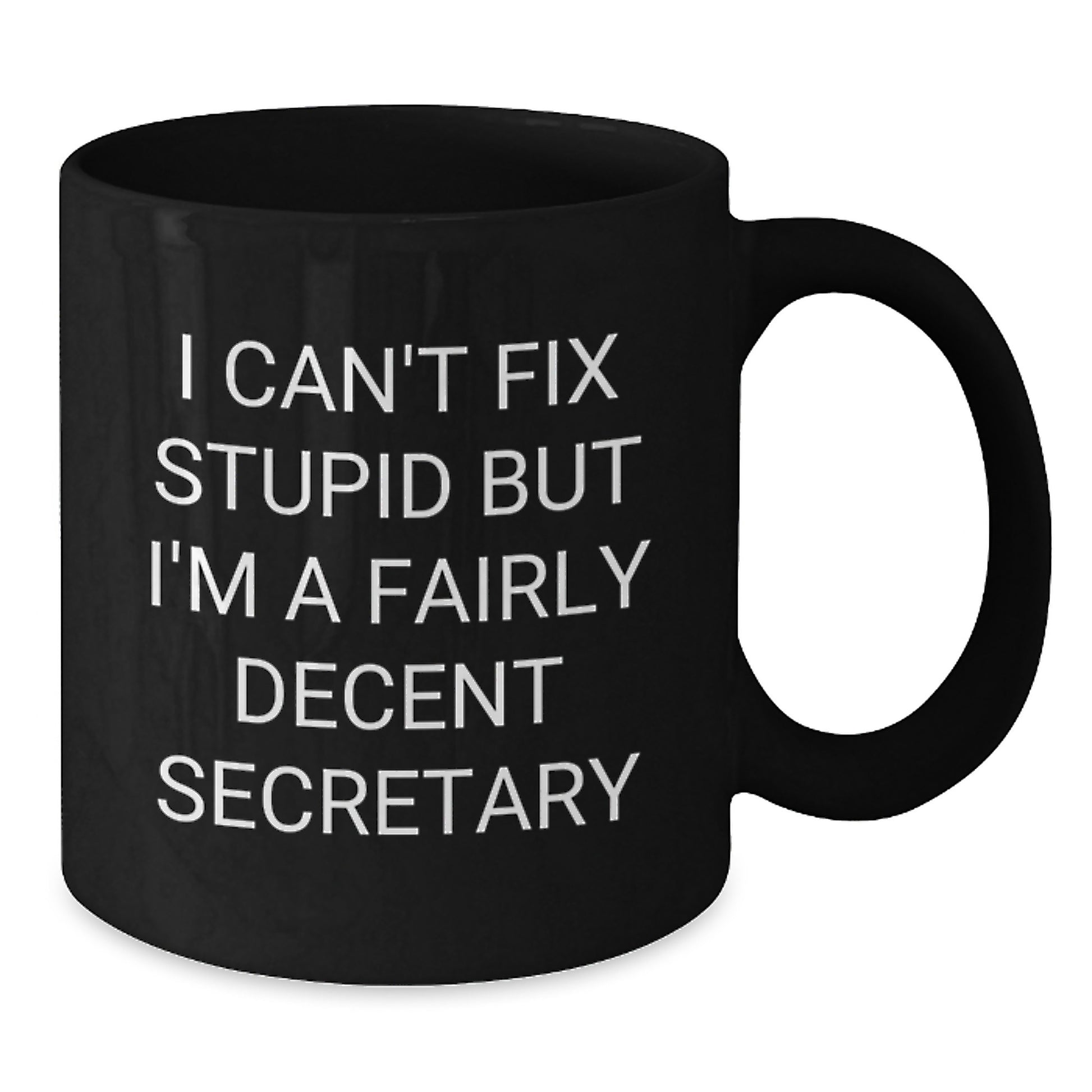 Funny Secretary Gift, Black Coffee Mug for Birthday - 'I Can't Fix Stupid But I'm A Fairly Decent Secretary', Gifts from Friends to Secretary - Additional