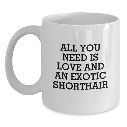 Exotic Shorthair Cat Lovers Gifts from Friends for Birthday Morning - All You Need Is Love And An Exotic Shorthair, Funny White Coffee Mug - Main