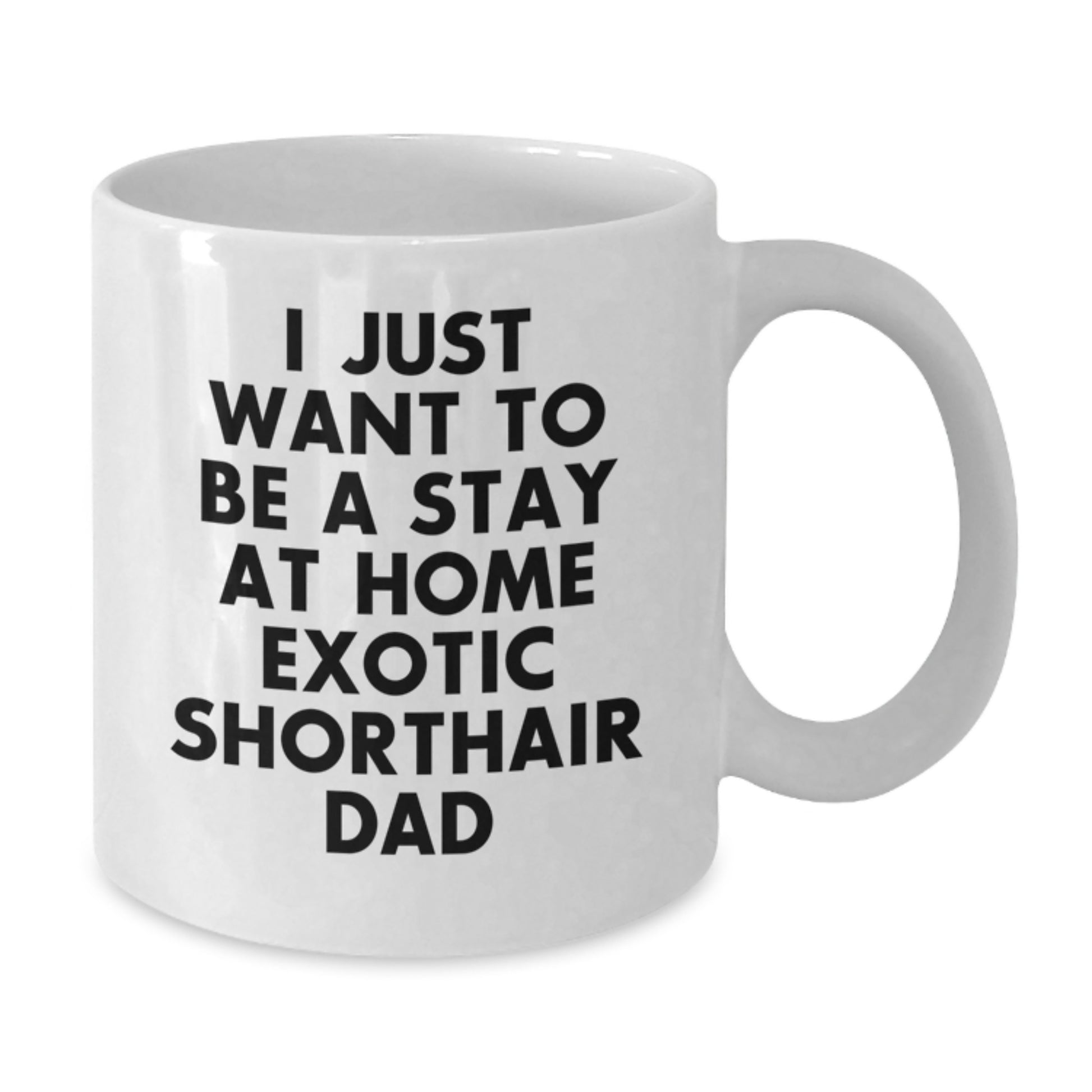 Funny Exotic Shorthair Cat Gifts, White Coffee Mug for Cat Lovers, Unique Birthday Presents from Friends to Exotic Shorthair Cat Dad, I Just Want To Be A Stay At Home Exotic Shorthair Cat Dad Quote - Additional