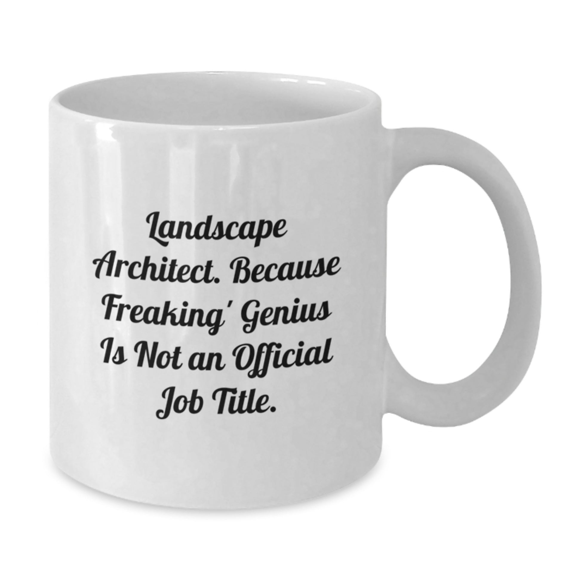 Funny Gifts from Friends for Landscape Architects, White Coffee Mug, Graduation Unique Gifts - Additional