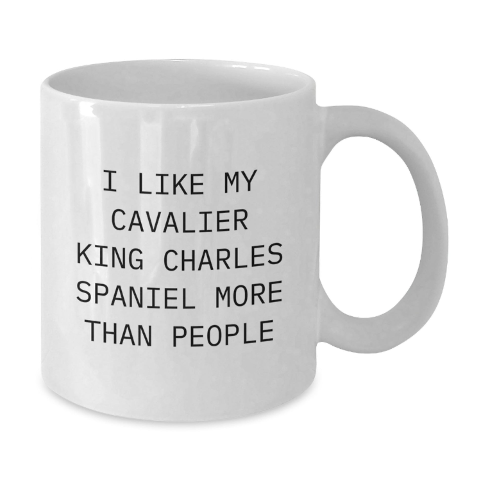 Funny Gifts for Cavalier King Charles Spaniel Dog Lovers - I Like My Cavalier King Charles Spaniel More Than People White Coffee Mug for Birthday - Additional