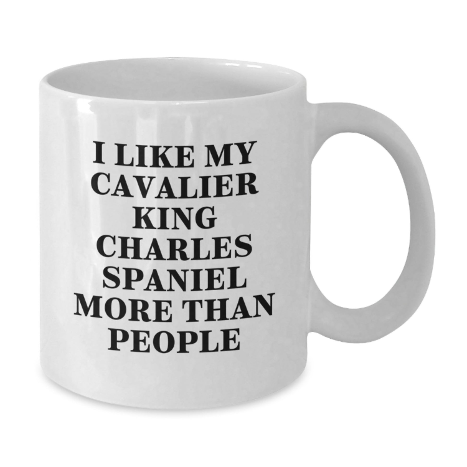 Funny Cavalier King Charles Spaniel Dog Lover Gifts from Friends, Birthday Unique Gifts for Cavalier King Charles Spaniel Dog Owners, White Coffee Mug - Additional