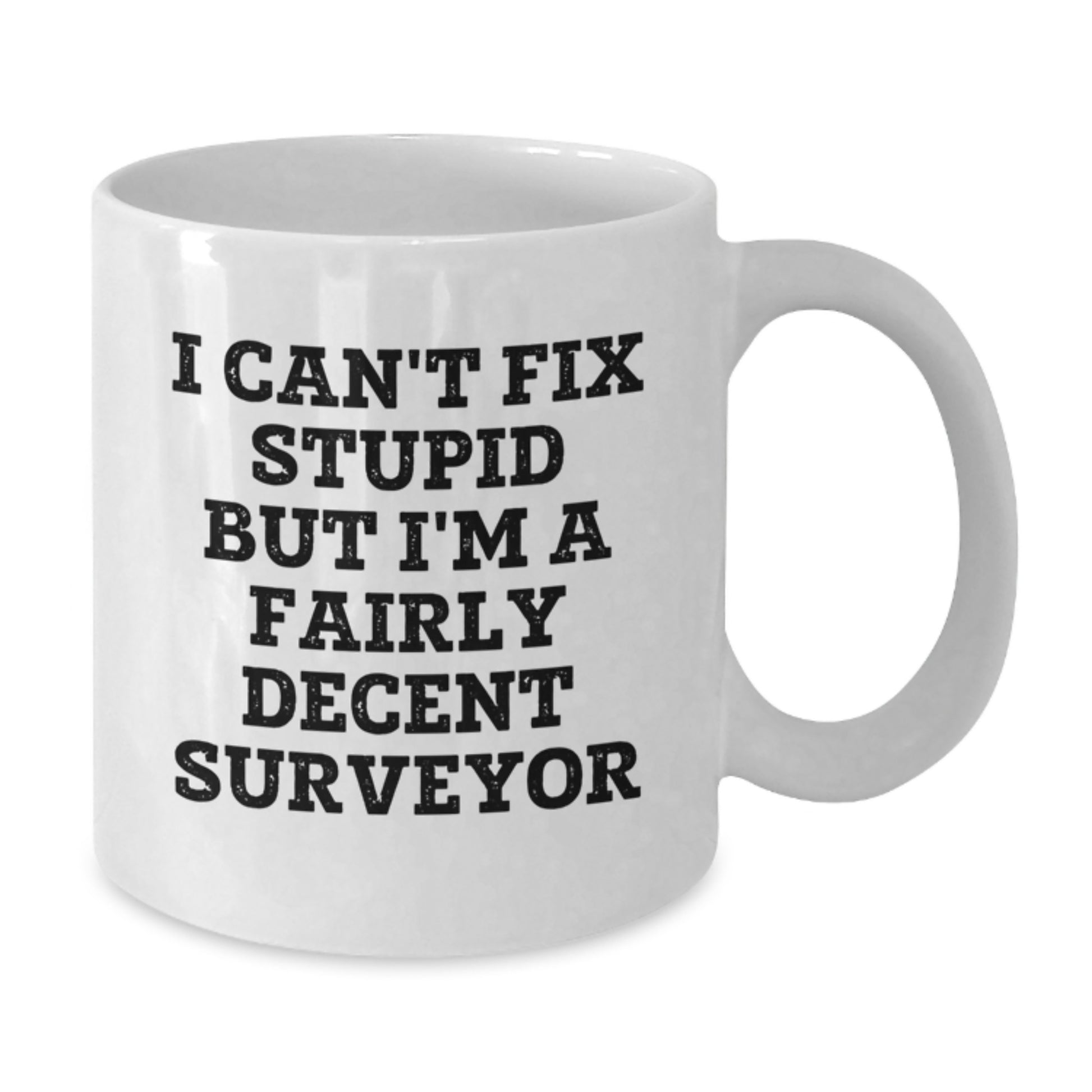 Funny Surveyor Gifts for Him - I Can't Fix Stupid But I'm A Fairly Decent Surveyor White Coffee Mug, Gifts from Dad to Son for Graduation Unique - Additional