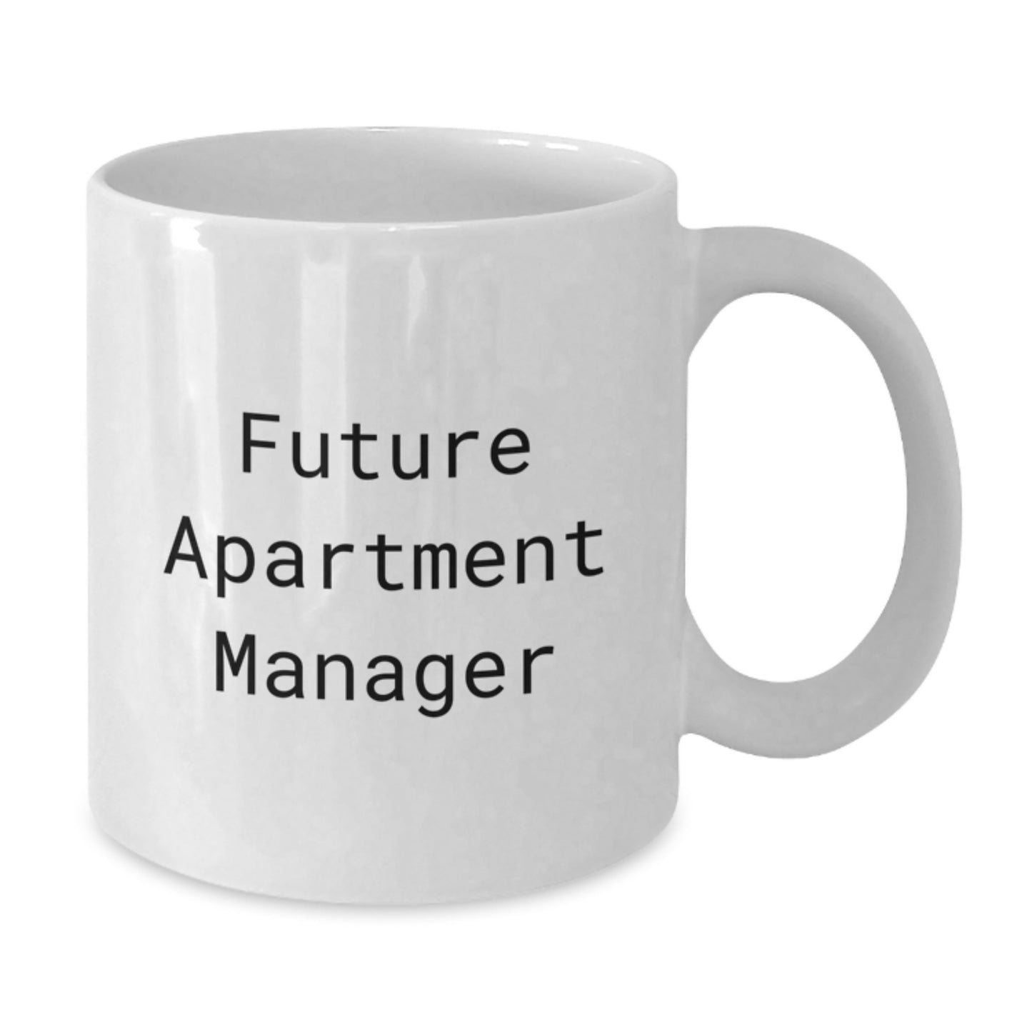 Funny Quotes for Future Apartment Manager, Unique Gifts from Friends for Men Working in Apartments, Christmas Unique Mugs for Coffee Lovers - Additional