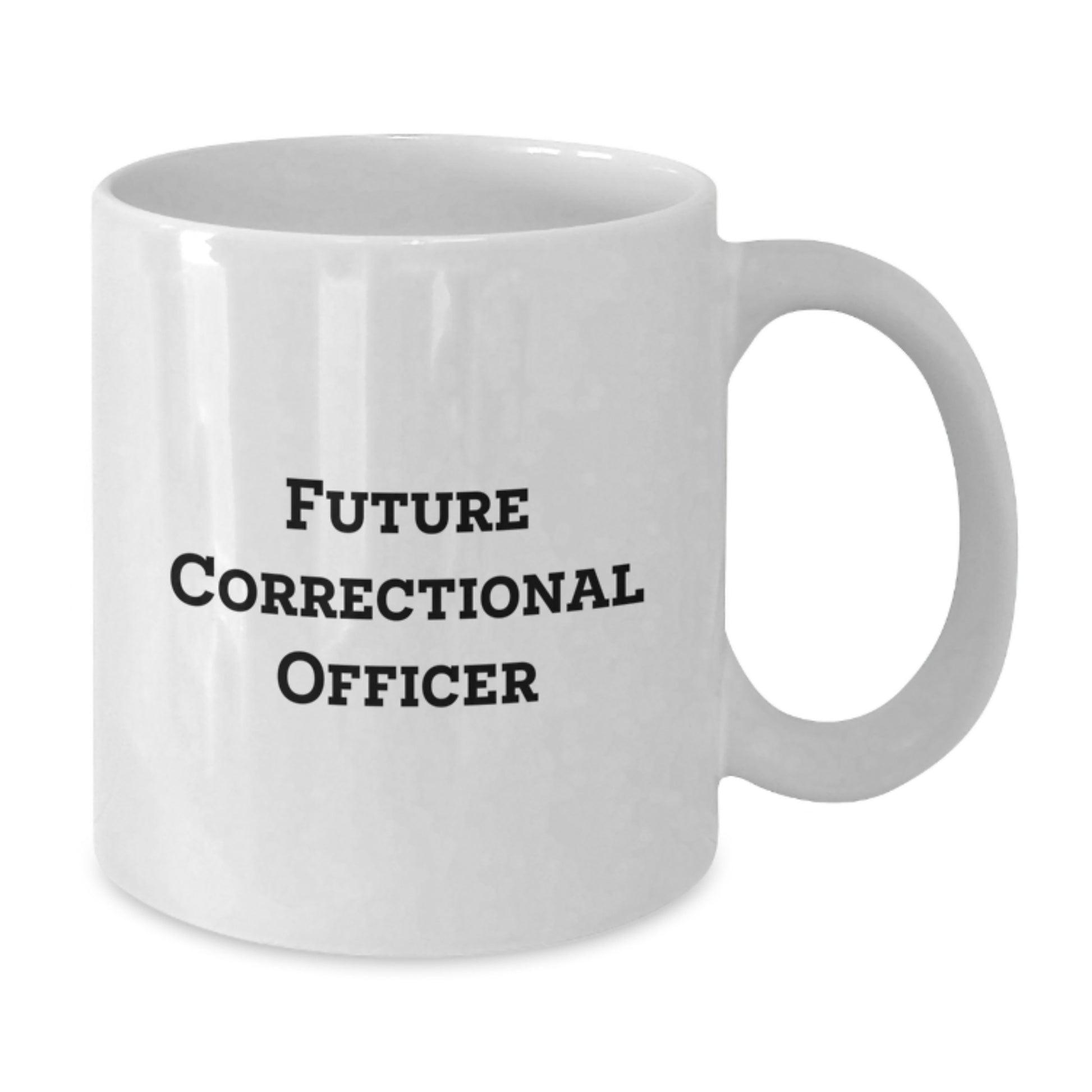 Funny Quote Gifts from Friends to Future Correctional Officer, White Coffee Mug for Correctional Officer, Christmas Morning Unique Ideas - Additional