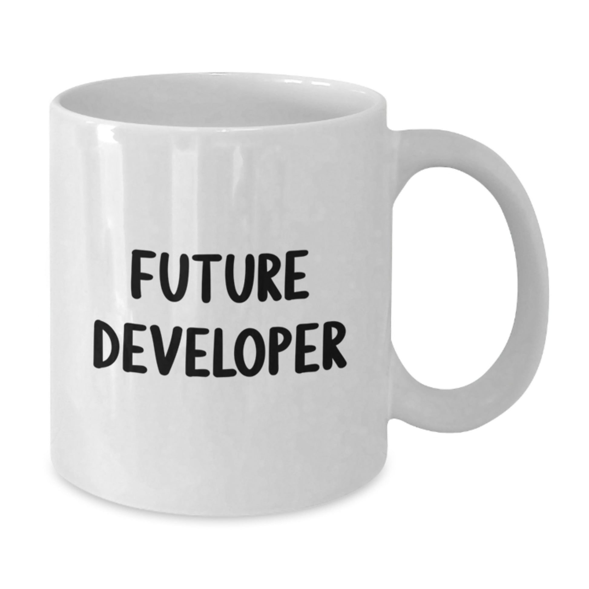 Funny Developer Quote Gifts from Friends for Men - Future Developer White Coffee Mug, Perfect Christmas Unique Gifts - Additional