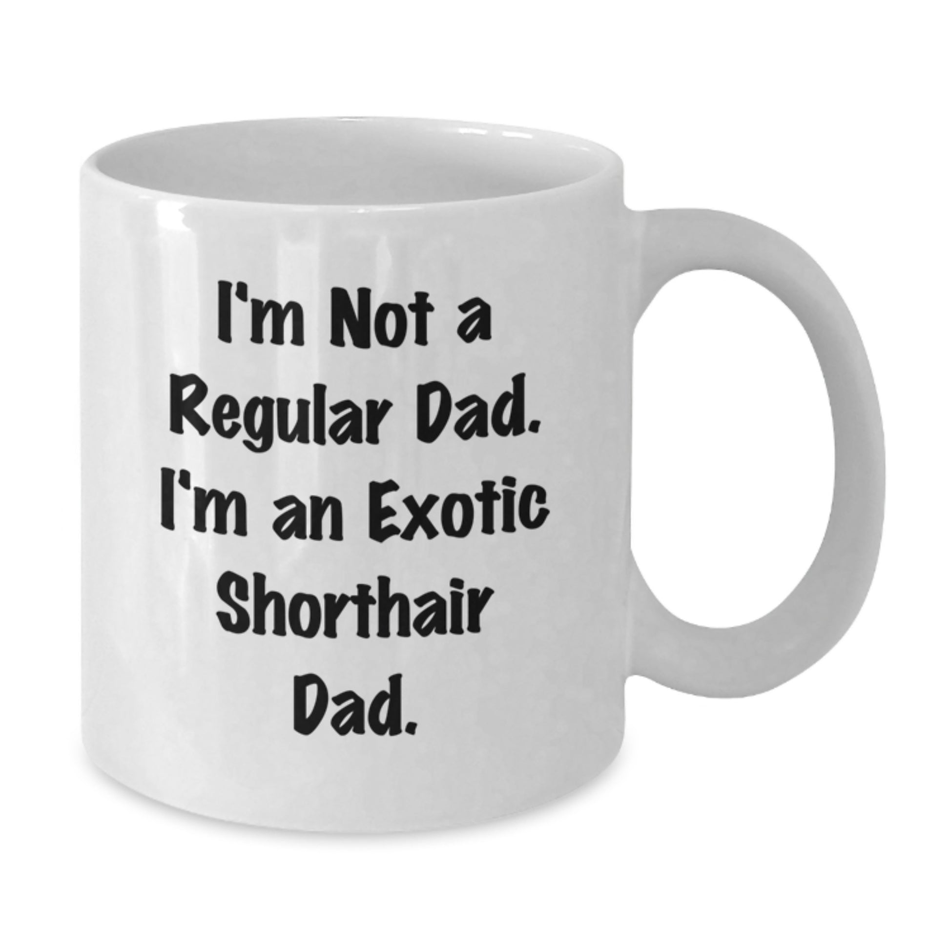 Exotic Shorthair Cat Lover Gifts from Dad Funny White Coffee Mug - Birthday Unique Presents for Exotic Shorthair Cat Dad - Additional