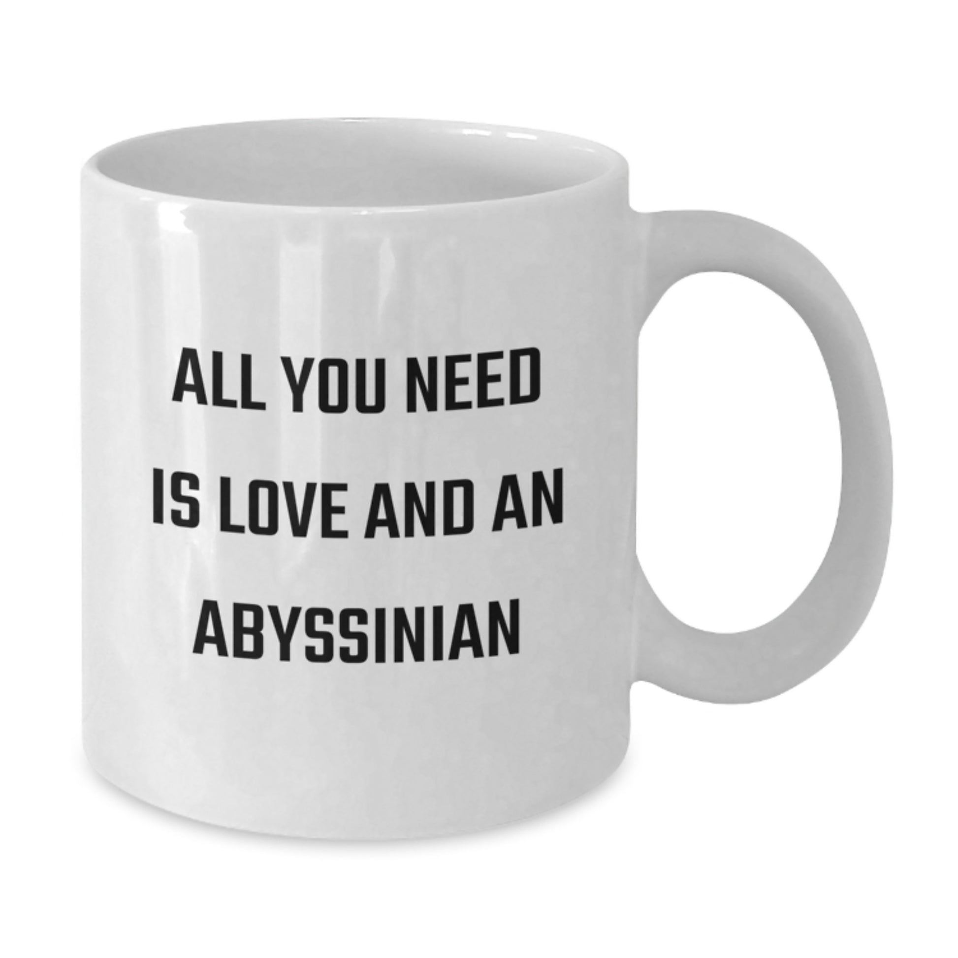 Funny Abyssinian Cat Lover Gifts from Friends Unique White Coffee Mug, 'All You Need Is Love And An Abyssinian' Inspirational Quote for Graduation - Additional