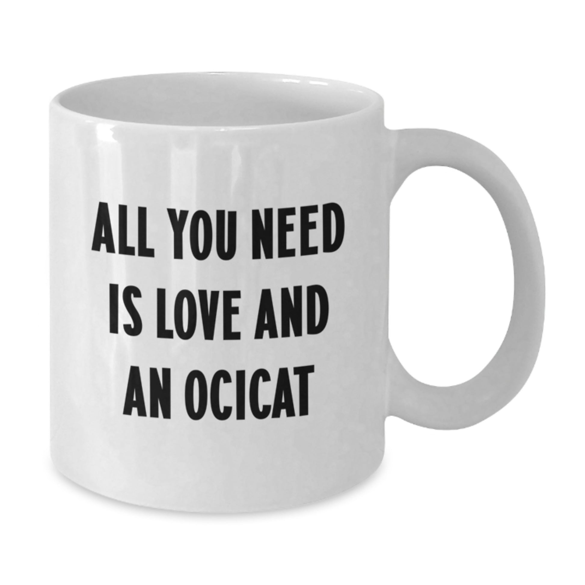 Ocicat Lovers Gift, All You Need Is Love And An Ocicat, Funny White Coffee Mug for Birthday, Gifts from Friends to Family - Additional