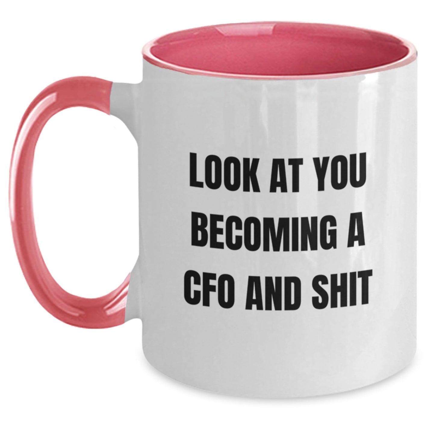 Funny CFO Coffee Mug Gifts for CFO - Mother's Day Unique Gifts from Men to Women, CFO Friends, Coworkers, Family - Main