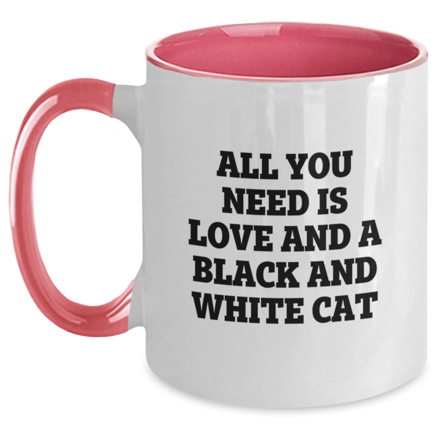 Black and White Cat Lover Gifts from Family and Friends Funny Christmas Morning Mug - Main