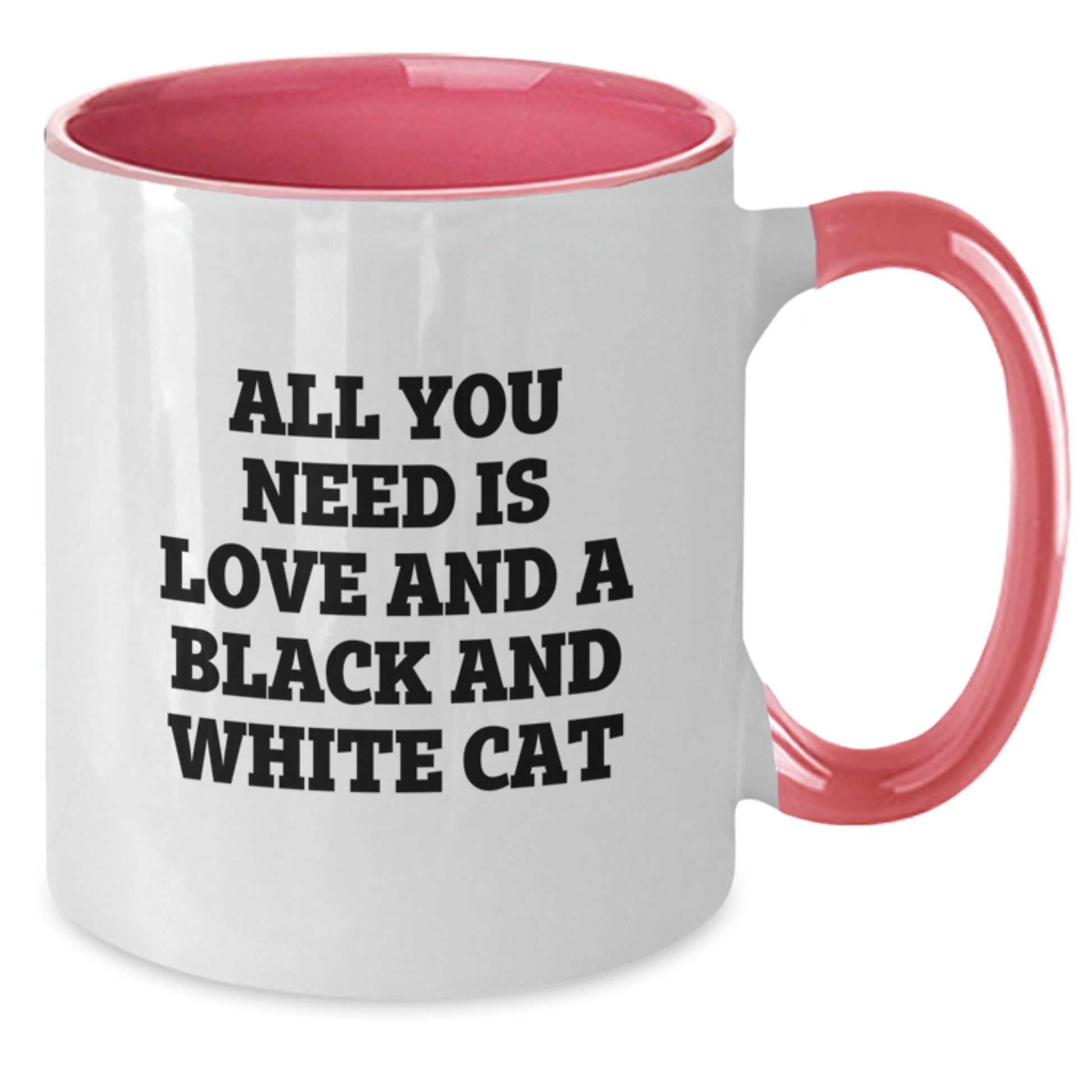 Black and White Cat Lover Gifts from Family and Friends Funny Christmas Morning Mug - Additional