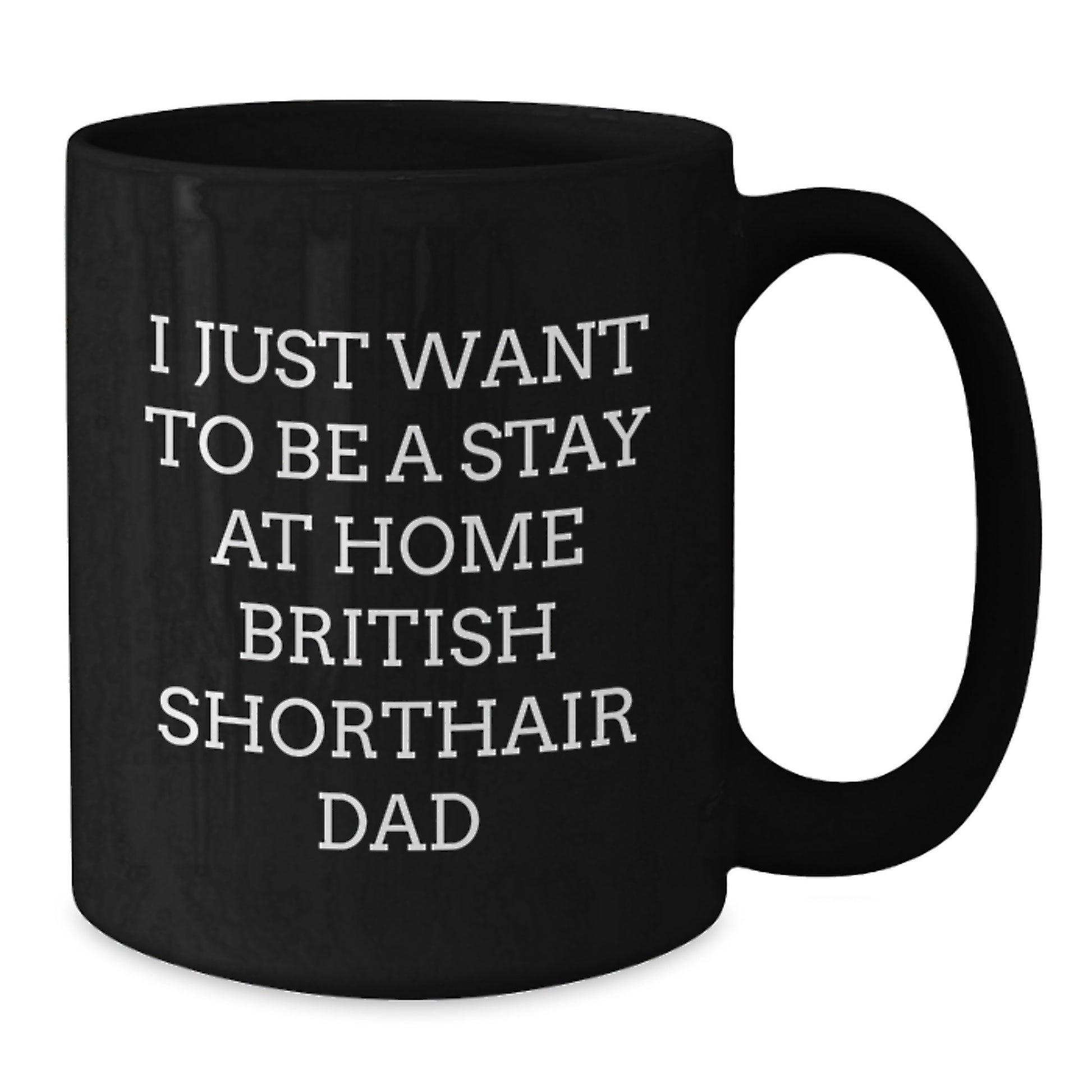 Funny British Shorthair Cat Dad Gifts for Him from Friends on Birthday, 'I Just Want To Be A Stay At Home British Shorthair Dad' Black Coffee Mug, Microwave and Dishwasher Safe - Additional