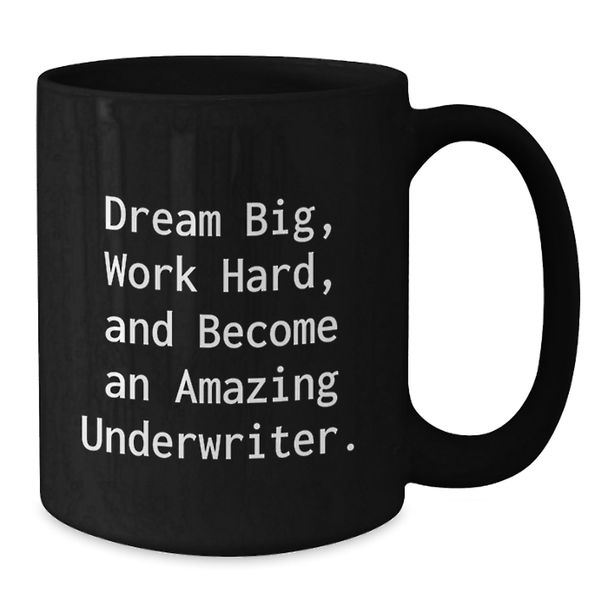 Funny Underwriter Gifts from Family, Christmas Unique Mugs for Underwriters to Dream Big, Work Hard, And Become Amazing - Additional
