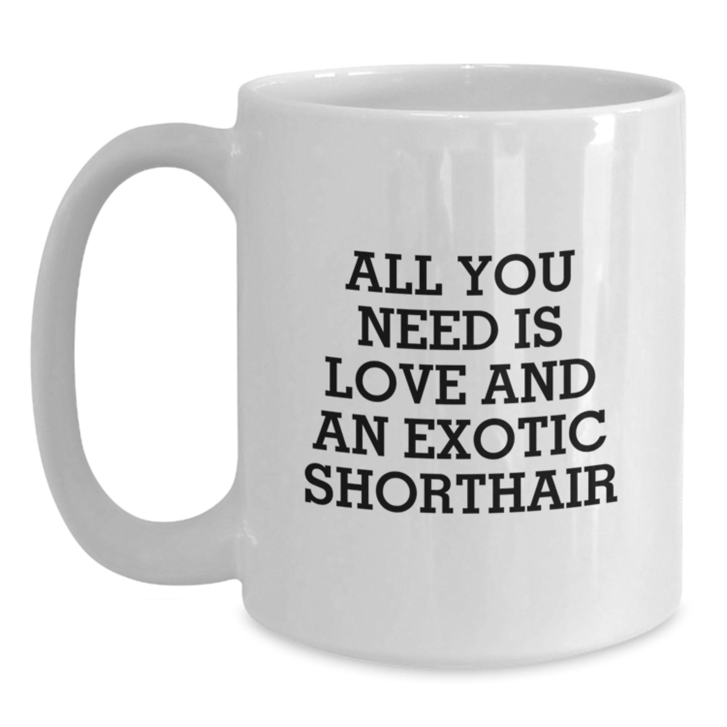 Exotic Shorthair Cat Lovers Gifts from Friends for Birthday Morning - All You Need Is Love And An Exotic Shorthair, Funny White Coffee Mug - Main