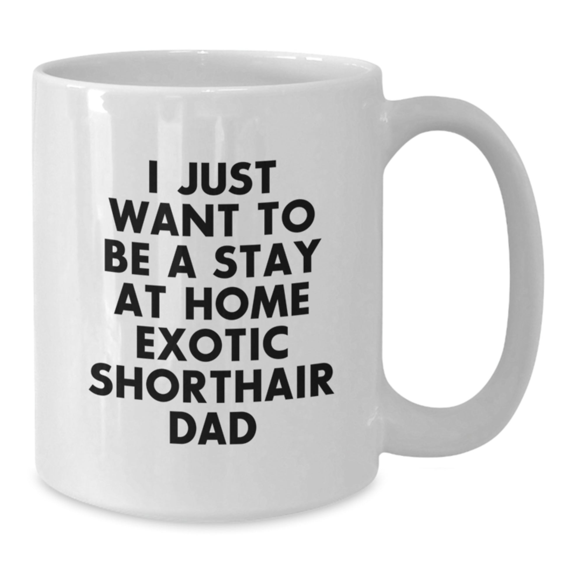 Funny Exotic Shorthair Cat Gifts, White Coffee Mug for Cat Lovers, Unique Birthday Presents from Friends to Exotic Shorthair Cat Dad, I Just Want To Be A Stay At Home Exotic Shorthair Cat Dad Quote - Additional