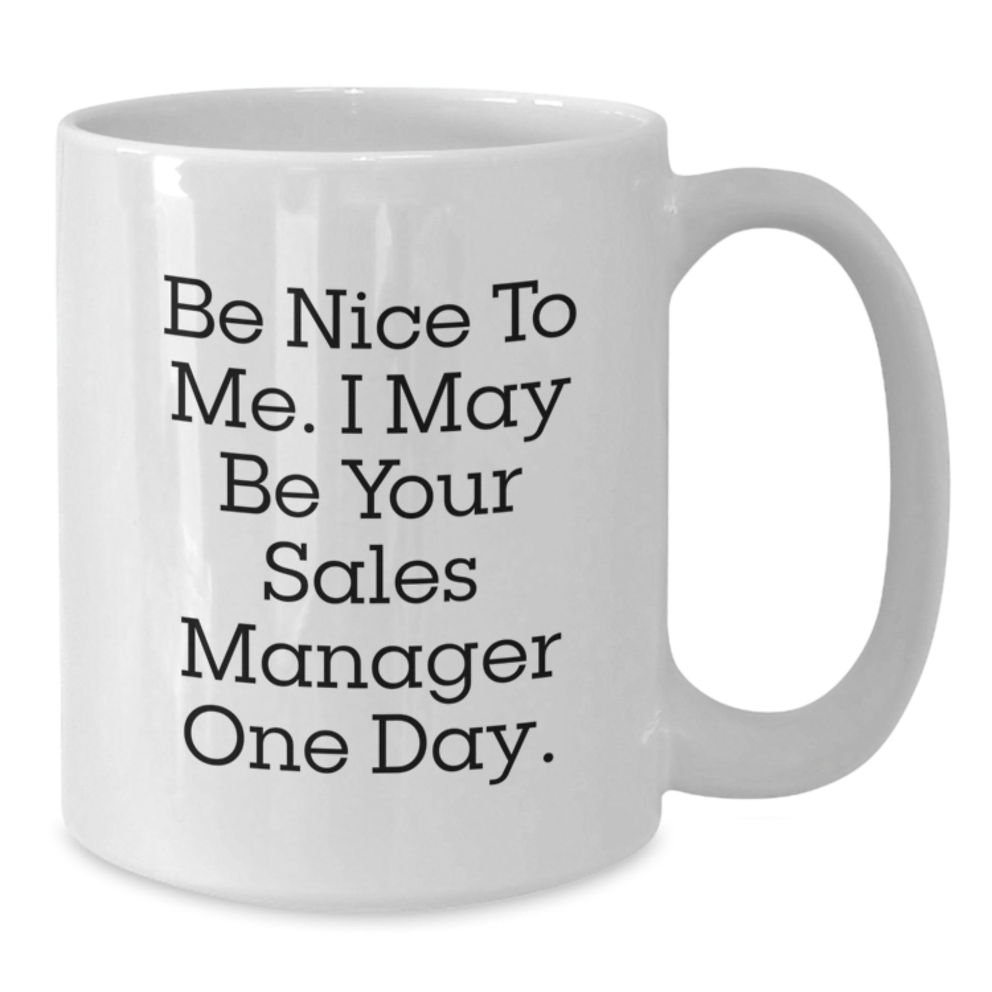 Funny Sales Manager Gifts from Friends, White Coffee Mug for Men, Be Nice To Me I May Be Your Sales Manager One Day Christmas Unique Gifts - Additional