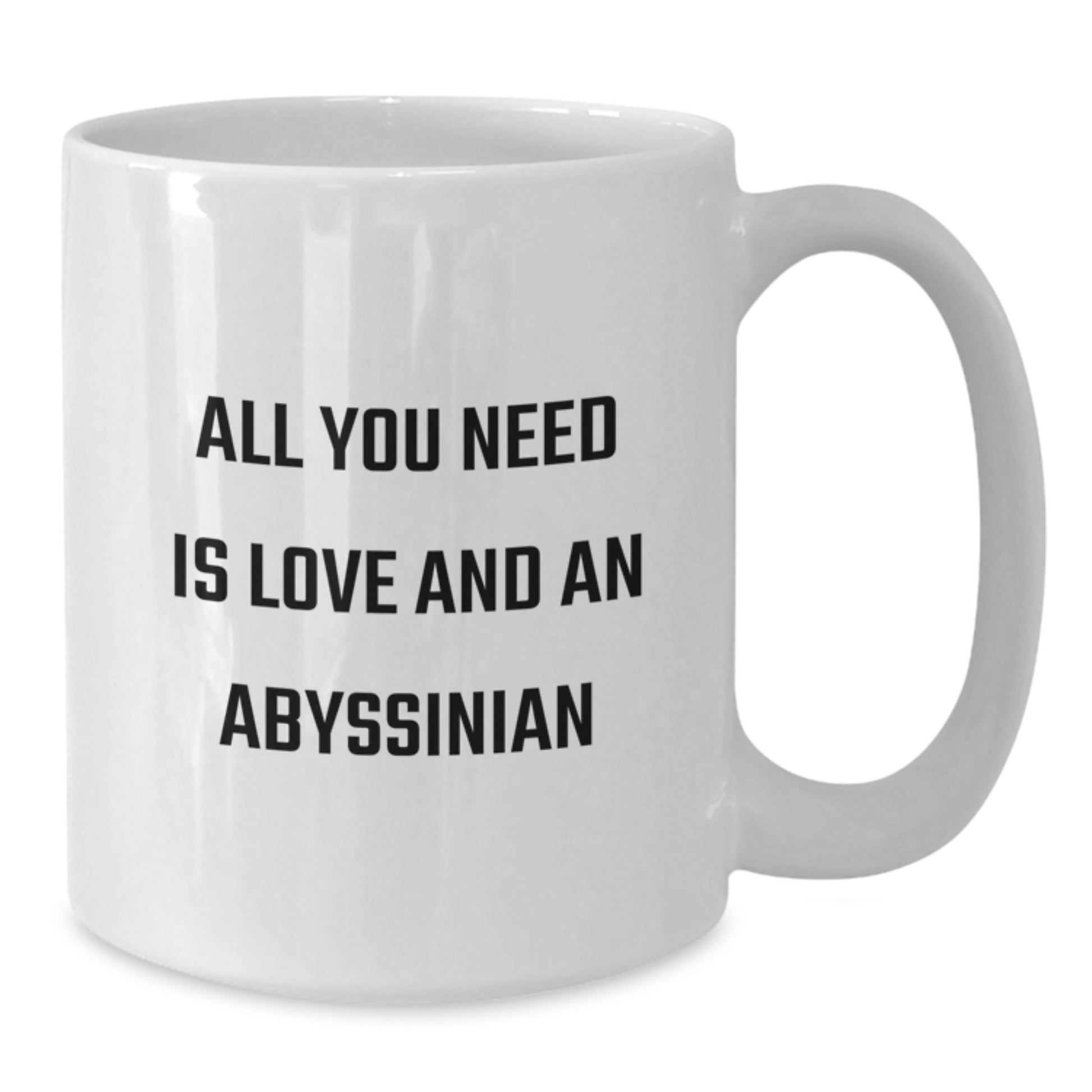 Funny Abyssinian Cat Lover Gifts from Friends Unique White Coffee Mug, 'All You Need Is Love And An Abyssinian' Inspirational Quote for Graduation - Additional