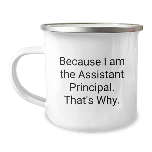 Funny Assistant Principal Christmas Unique Gifts for Men, because I am the Assistant Principal. That's why. Gifts from Coworkers - Image 1