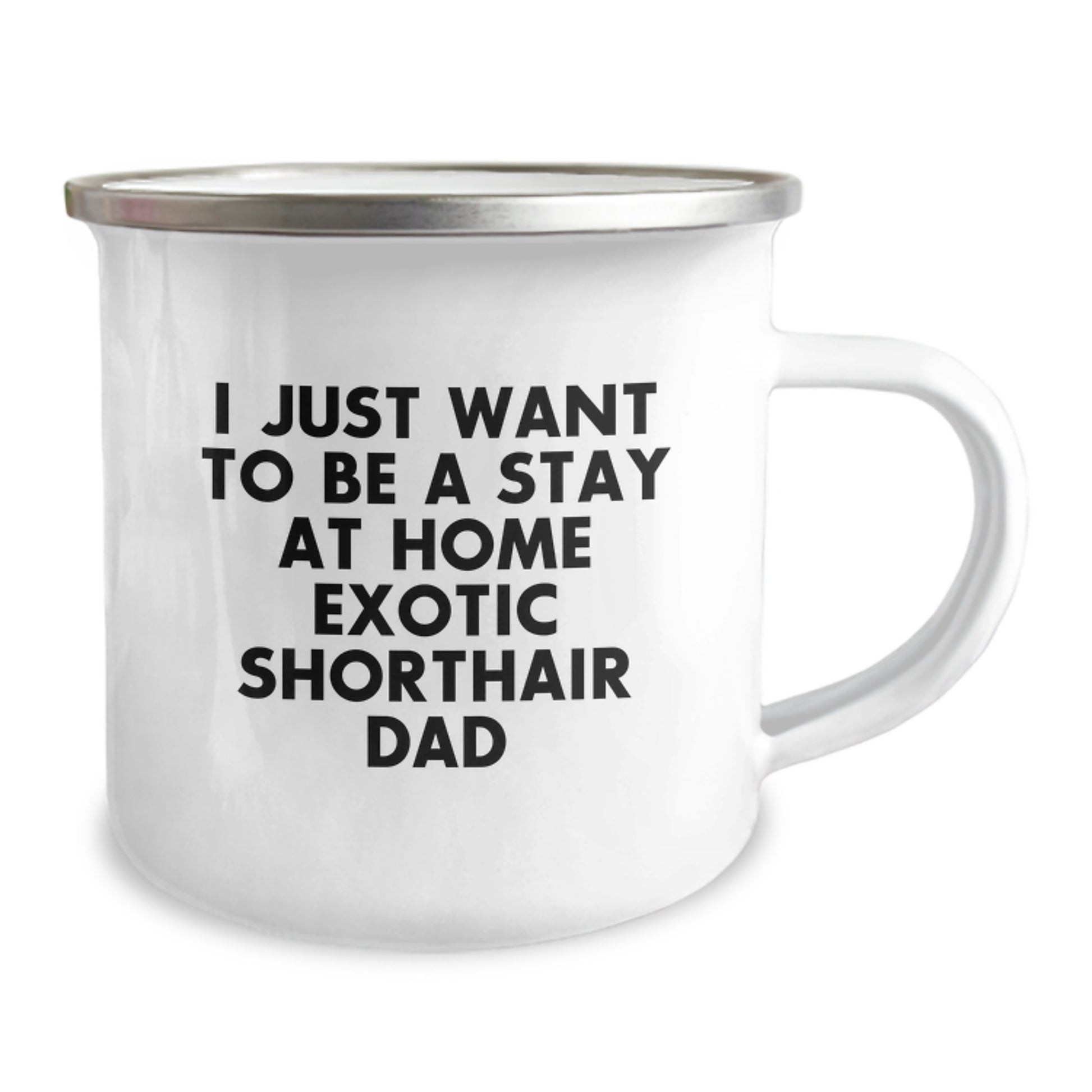 Exotic Shorthair Cat Dad Funny Camping Mug Gifts from Family, Gifts for Exotic Shorthair Cat Lovers, I Just Want To Be A Stay At Home Exotic Shorthair Dad, Birthday Unique Gifts - Image 2