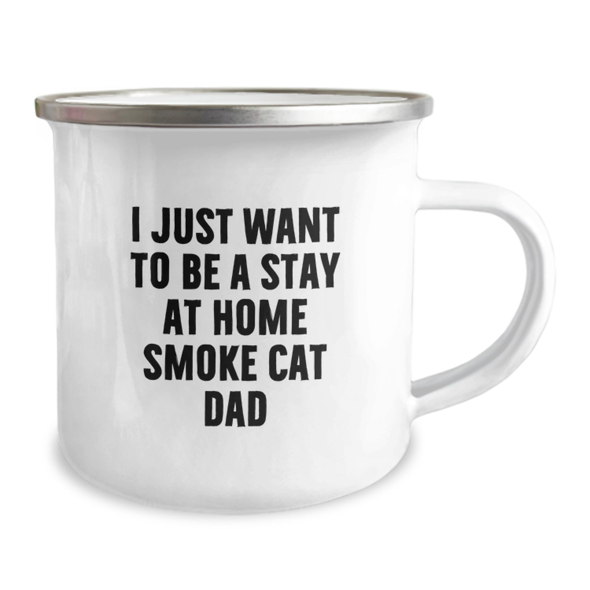 Funny Smoke Cat Gifts for Men, Gifts from Friends, Camping Mug for Birthday Unique Gifts - 'I Just Want To Be A Stay At Home Smoke Cat Dad' Mug - Image 2