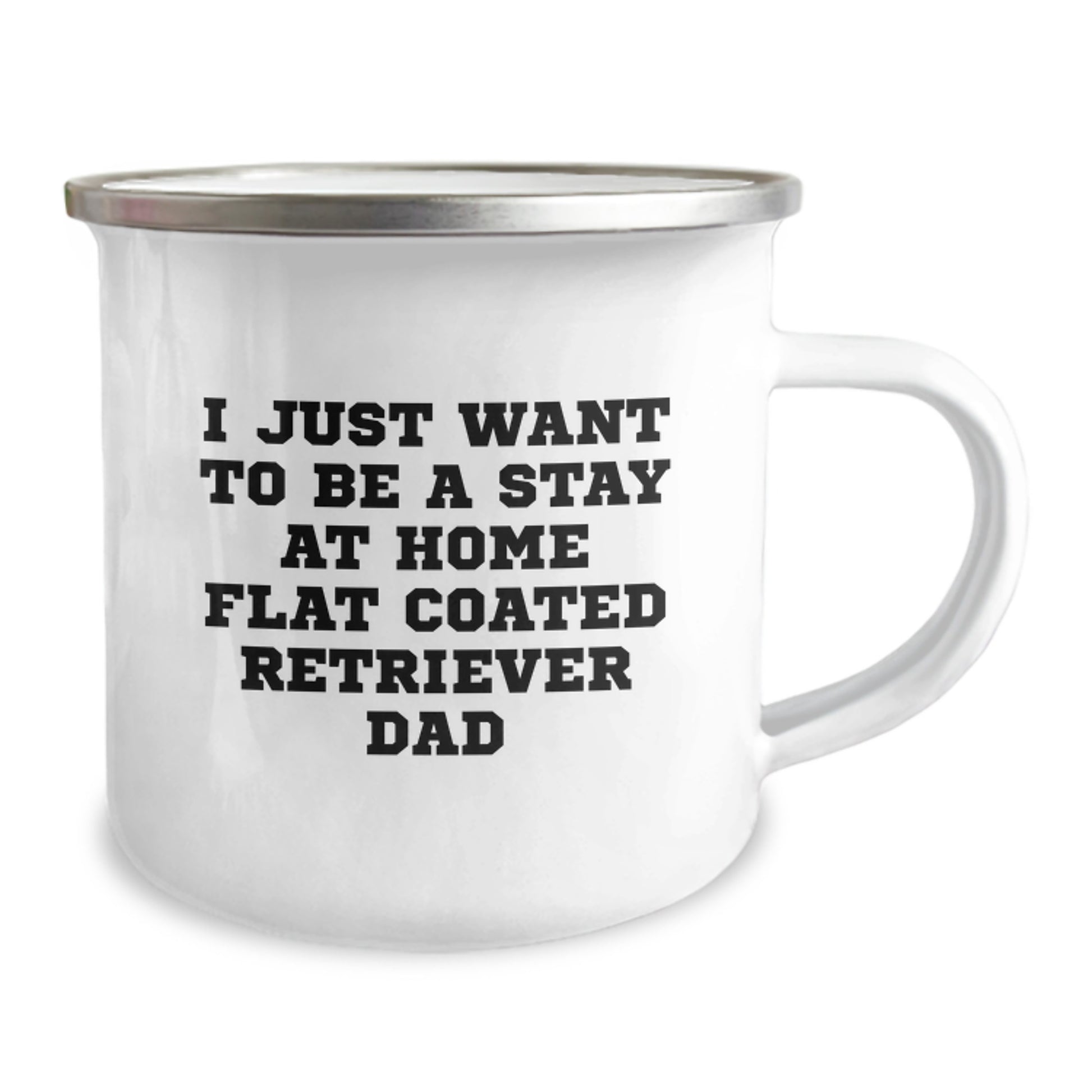 Funny Flat Coated Retriever Dad Camping Mug Gifts for Him, 'I Just Want To Be A Stay At Home Flat Coated Retriever Dad' Birthday Unique Gifts from Men to Coworkers - Image 2