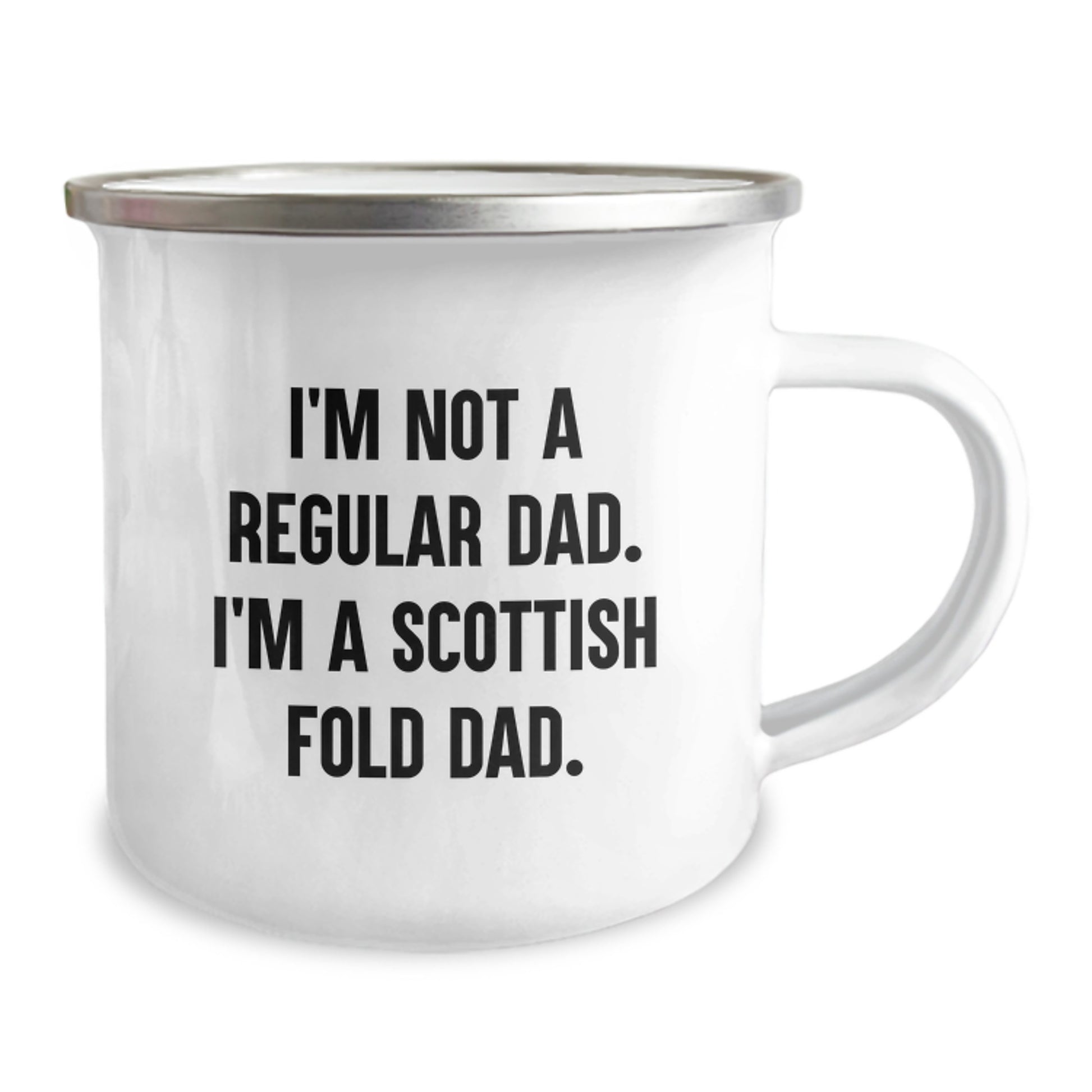 Funny Scottish Fold Cat Dad Gifts for Men from Family, Unique Camping Mug for Graduation - Image 2