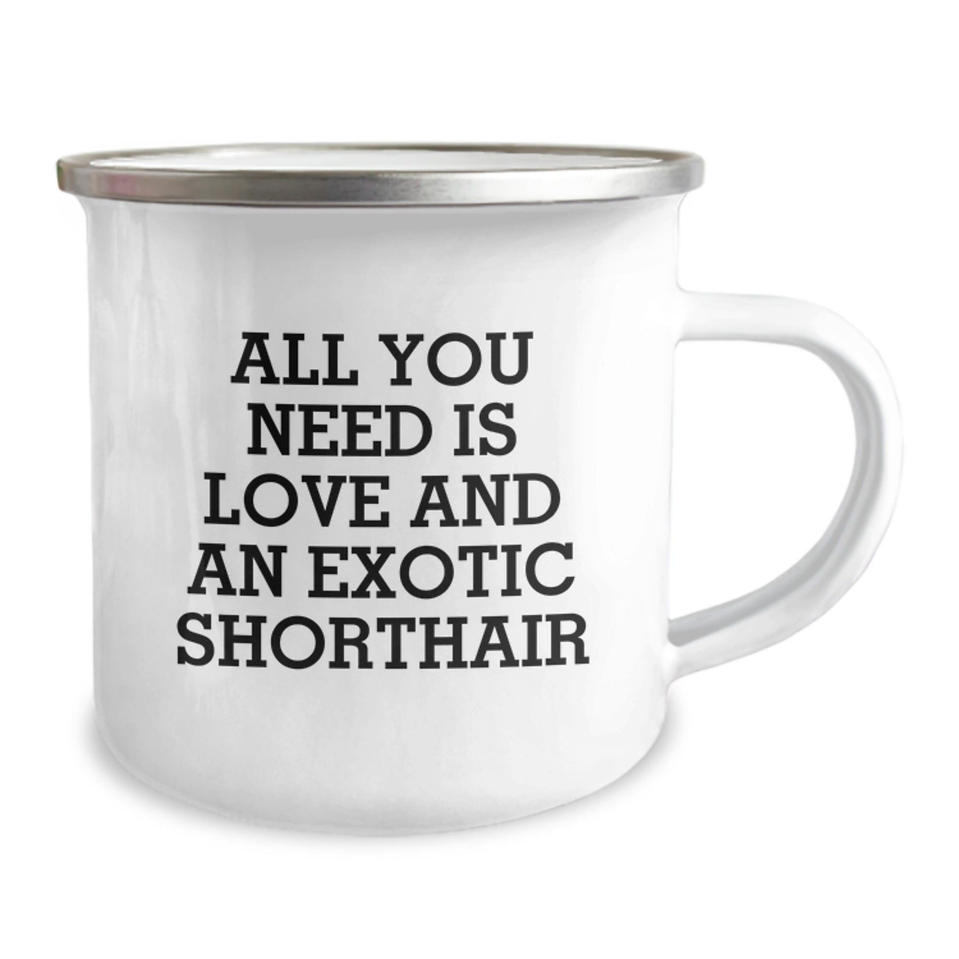 Exotic Shorthair Cat Lovers Gifts from Friends Birthday Unique Mugs, All You Need Is Love And An Exotic Shorthair, Camping Mug - Image 2