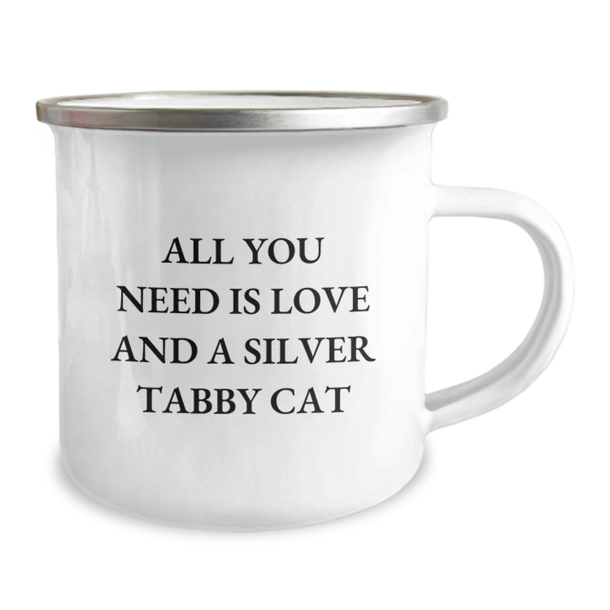 Funny Silver Tabby Cat Lover Gifts from Friends and Family for Christmas Unique Mugs - Image 2