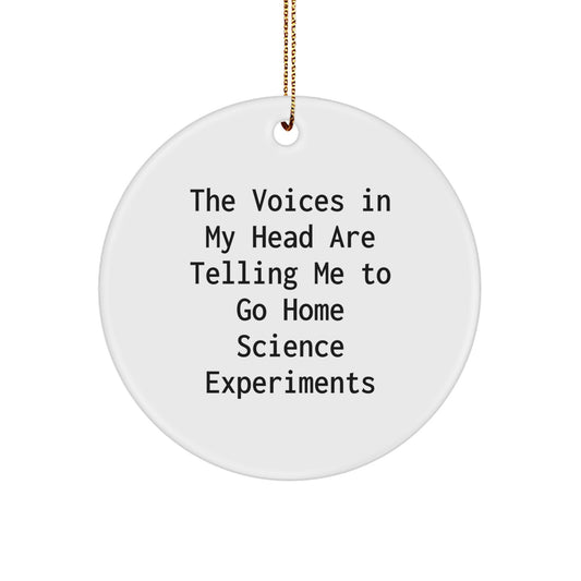 Funny Home Science Experiments Circle Ornament Gifts from Family, Perfect for Home Science Experiments Enthusiasts, Christmas Unique Gifts for Friends and Family - Image 1