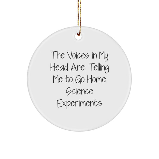 Funny Home Science Experiments Gifts for Friends from Family - 'The Voices In My Head Are Telling Me To Go Home Science Experiments' Circle Ornament for Christmas Unique Decorations - Image 1