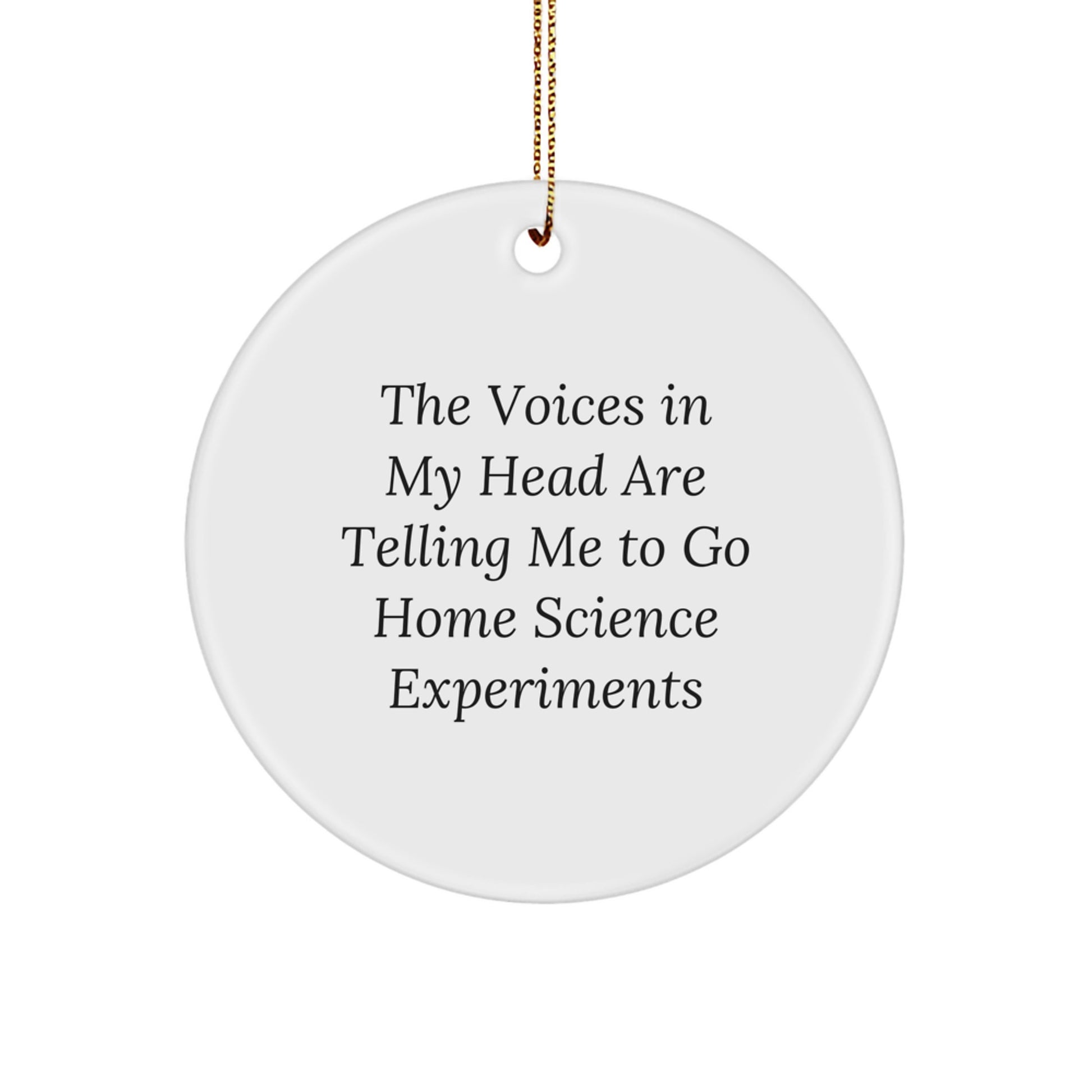 Funny Home Science Experiments Gifts from Mom, Unique Circle Ornament for Home Science Experiments Enthusiasts, The Voices In My Head Are Telling Me To Go - Image 1