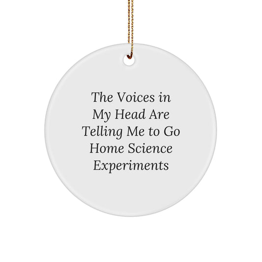 Funny Home Science Experiments Gifts from Mom, Unique Circle Ornament for Home Science Experiments Enthusiasts, The Voices In My Head Are Telling Me To Go - Image 1