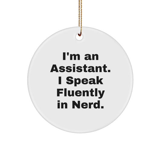 Funny Christmas Circle Ornament Gifts from Men to Assistants, geniusy Assistant Enthusiasts, or Coworkers, Perfect for Office Desk Decor, Assistant Gifts for Women, and Friends - Image 1