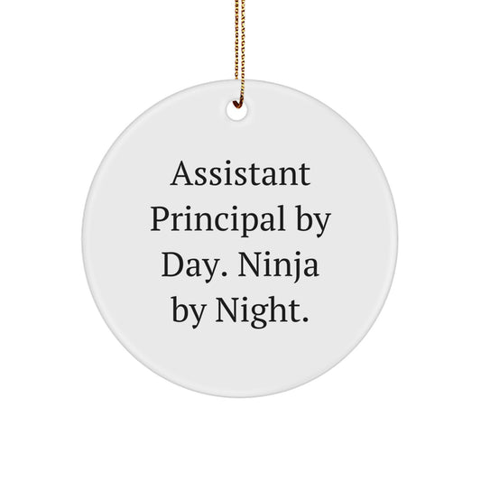 Funny Assistant Principal Gifts for Men, Assistant Principal By Day Ninja By Night Circle Ornament, Christmas Unique Gifts from Family to Assistant Principal - Image 1