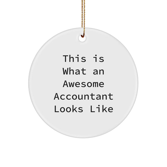 Funny Accountant Gifts from Friends, Cute Circle Ornament for Accountant Office, Inspirational Quote This Is What An Awesome Accountant Looks Like Christmas Unique Gifts - Image 1