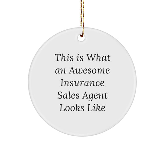Funny Gifts for Insurance Sales Agents, Awesome Insurance Agent Gifts, Circle Ornament for Christmas - Image 1